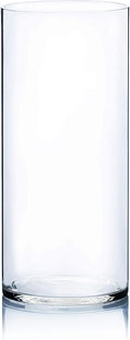 WGV Cylinder Vase, Width 7", Height 16", Clear Wide Large Diameter Flower Glassware, Floral Container, Planter Terrarium for Wedding Party Event, Home Accent Decor, 1 Piece