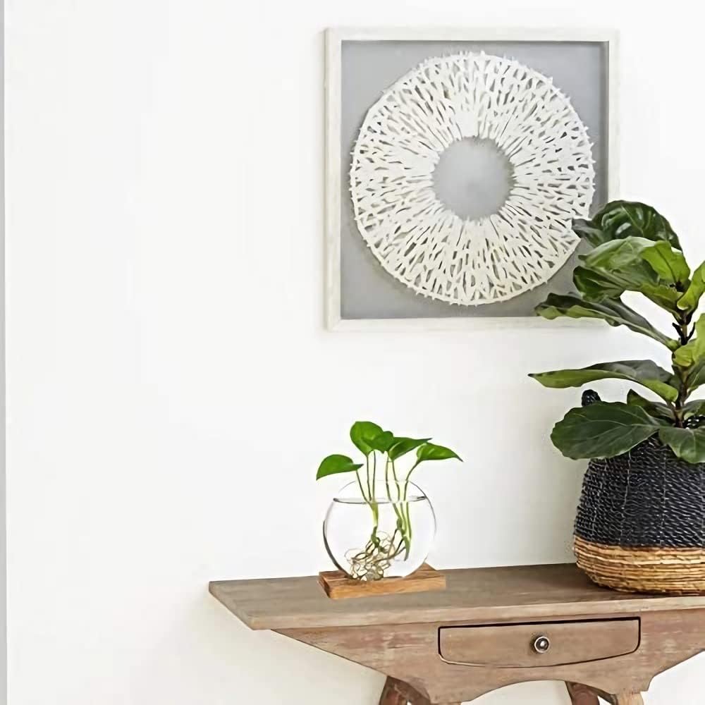 Kingbuy Round Glass Desktop Planter with Wooden Stand - Propagation Station for Small Hydroponic Plants, Spider Plants, Pothos, Lucky Bamboo - Terrarium Vase for Home Office Decor, 2-Pack, Brown