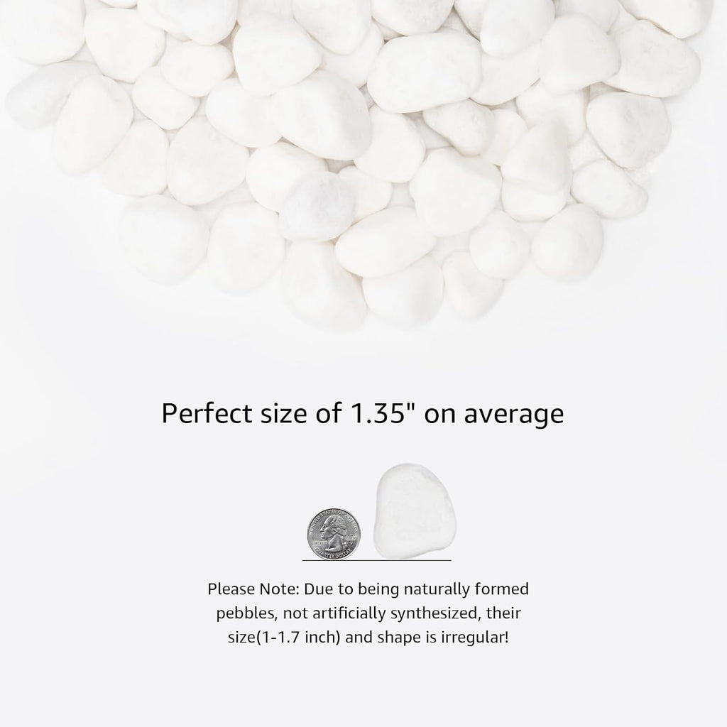 White Natural River Rocks, 1-1.5 Inch Decorative Stones for Plants, Garden, and Landscaping – 20LB, Ideal for Fish Tanks, Vases, Crafting, Home Decor, and Outdoor Landscaping