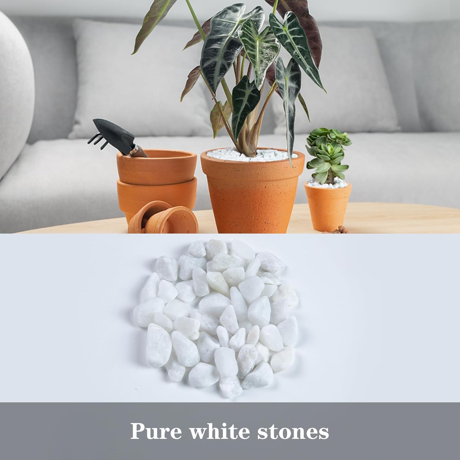 5lb River Rocks Polished Silica Gravel for Plants Garden, Decorative Pebbles Ideal for Fish Tank, Vases, Succulents, Crafting, Home Decor and Garden Landscaping, Snow White(0.2-0.3”)