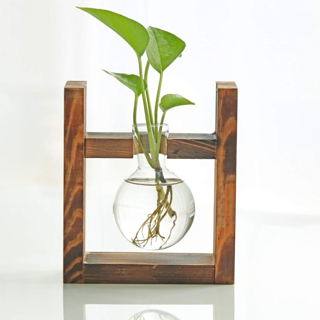 Kingbuy Glass Plant Terrarium - 1 Bulb Propagation Station with Retro Wood Stand Indoor Garden Planter, Bulb Vase & Desktop Decor for Home Kitchen Wedding, Gift for Women & Plant Lover