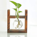Kingbuy Glass Plant Terrarium - 1 Bulb Propagation Station with Retro Wood Stand Indoor Garden Planter, Bulb Vase & Desktop Decor for Home Kitchen Wedding, Gift for Women & Plant Lover