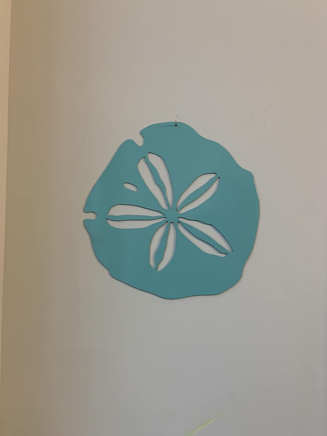 Riverside Designs Coastal Sand Dollar Ocean Beach Metal Art Steel Wall Decor (12", Seafoam)