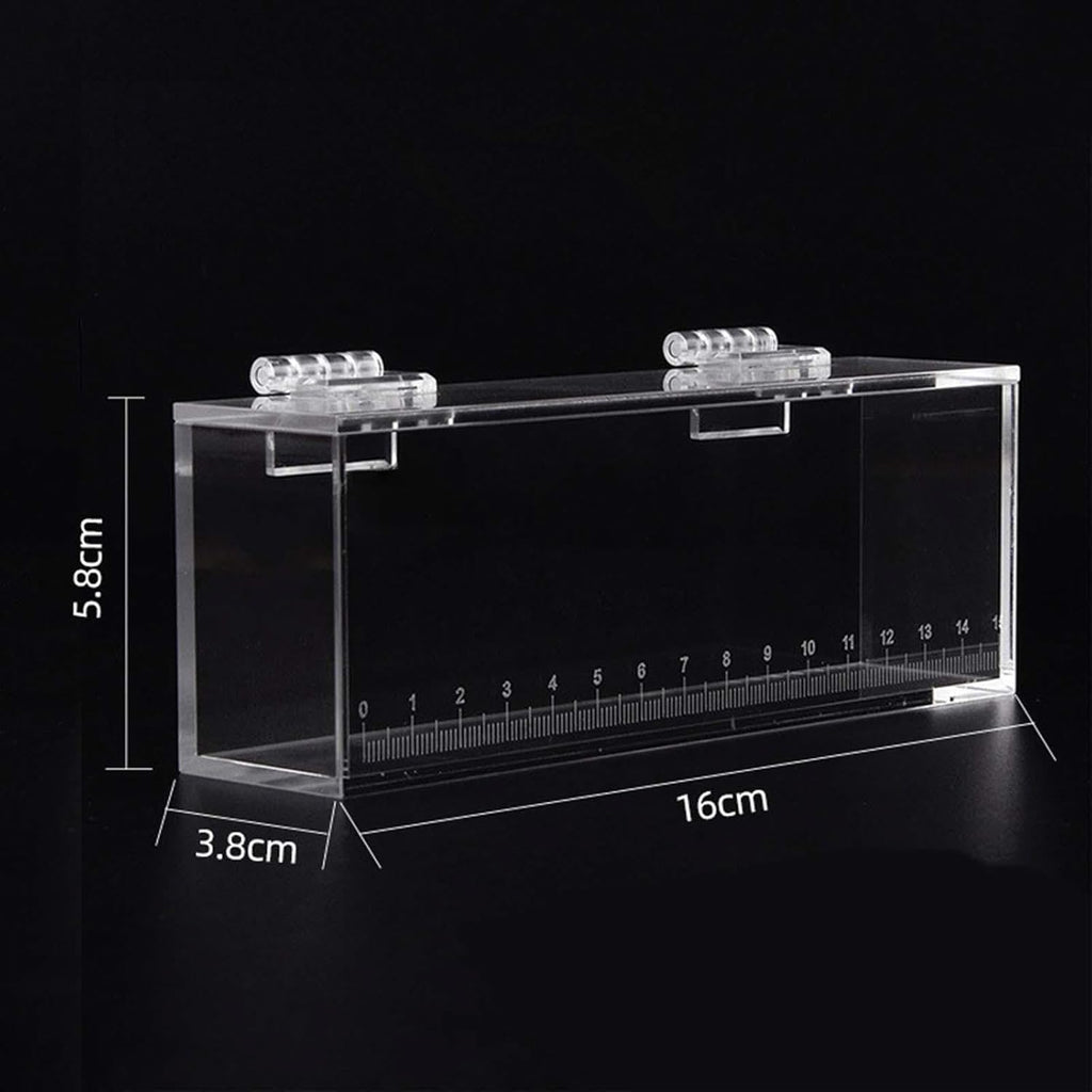 Gazechimp Fishing Photo Tank Fish Viewing Box Acrylic Hatching Incubator Clear Micro Landscape Fish Tank Fish Breeder Isolation Breeder Box with Scale, L