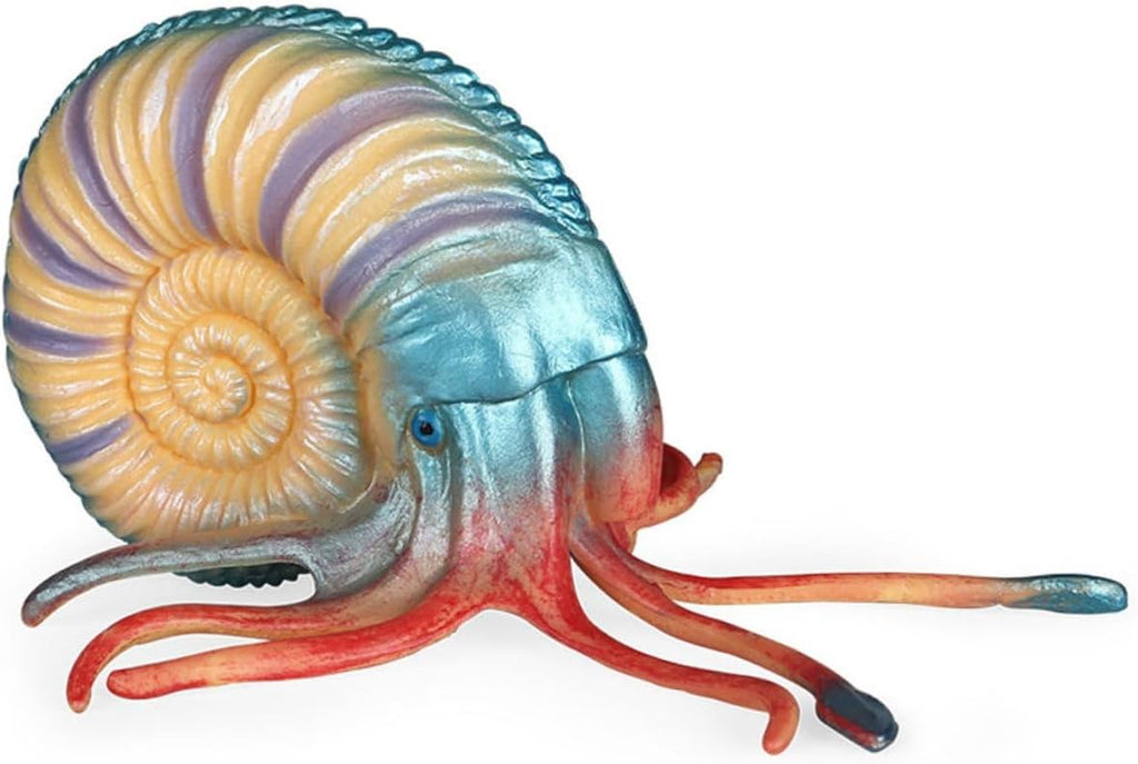 HANABASS Realistic Nautilus Model Animal Ornament Educational Sensory for Aquarium Decoration and Early Learning