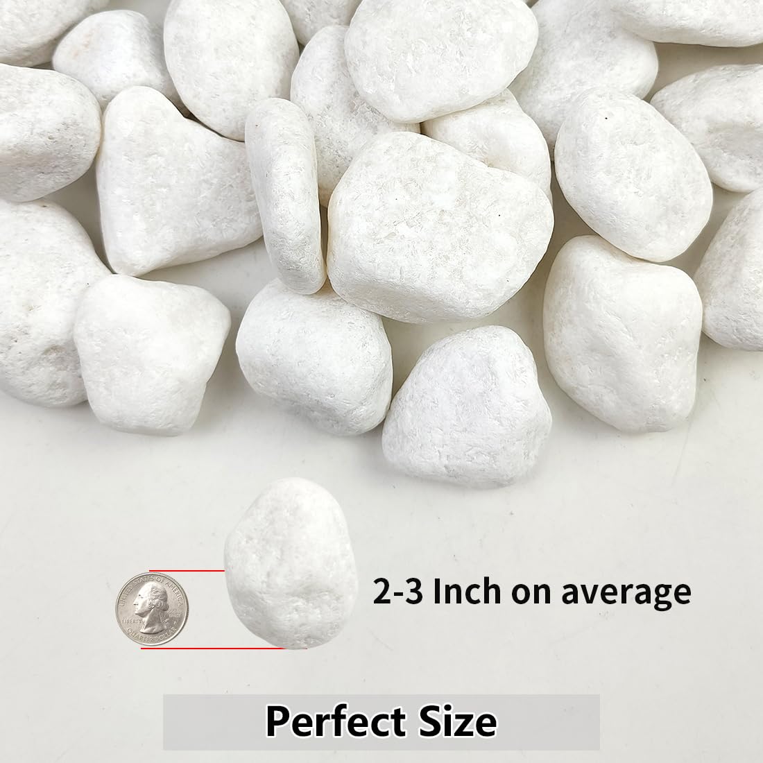10lb White River Rocks, 2-3 Inch Natural Pebbles for Indoor Plants, Snow White Decorative Stones, Ideal for Fish Tank, Vases, Crafting, Home Decor and Garden Landscaping Rocks