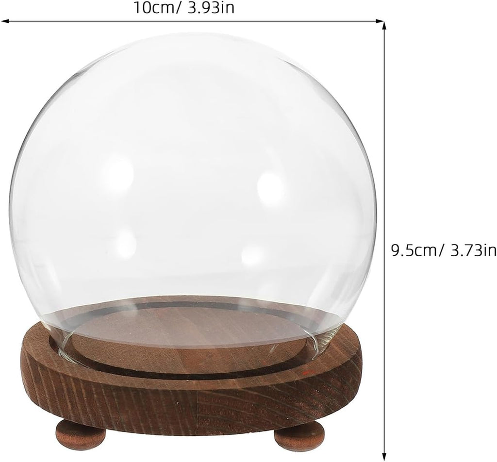 Clear Glass Cloche Display Dome Bell Jar with Wood Base Diy Snow Globe Kit Keepsake Display Case Terrarium for Preserved Plant Succulent Craft 3.9 Inch