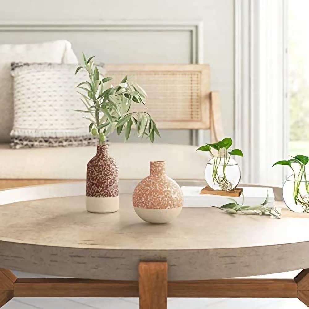 Kingbuy Round Glass Desktop Planter with Wooden Stand - Propagation Station for Small Hydroponic Plants, Spider Plants, Pothos, Lucky Bamboo - Terrarium Vase for Home Office Decor, 2-Pack, Brown