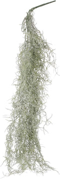BESTOYARD 36-Inch Realistic Artificial Spanish Moss, Large Faux Hanging Plant Vine for Indoor Home Decor, Terrarium, Wreath & DIY Crafts