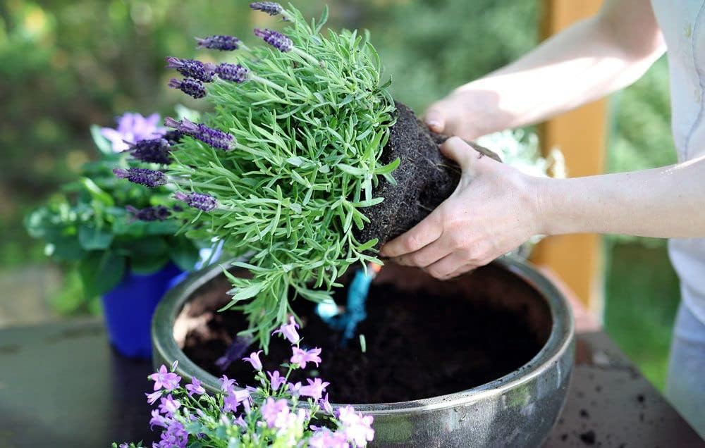 Gardenera Premium Moisture Control Potting Mix - Get The Perfect Balance of Moisture and Nutrients for Your Plants! - 5 Quart