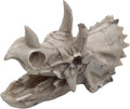 Dinosaur Skull Aquarium Décor - Fish Tank Decoration Hideaway for Fish,Natural Look, 6.3"x4"x4" - Fun Underwater Environment! (6.7")