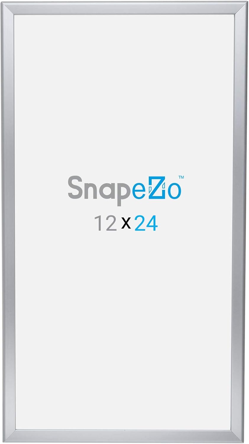 SnapeZo Photo Frame 12x24, Silver, 1.25 Inch Aluminum Profile, Front-Loading Snap Frame, Wall Mounting, Professional Series