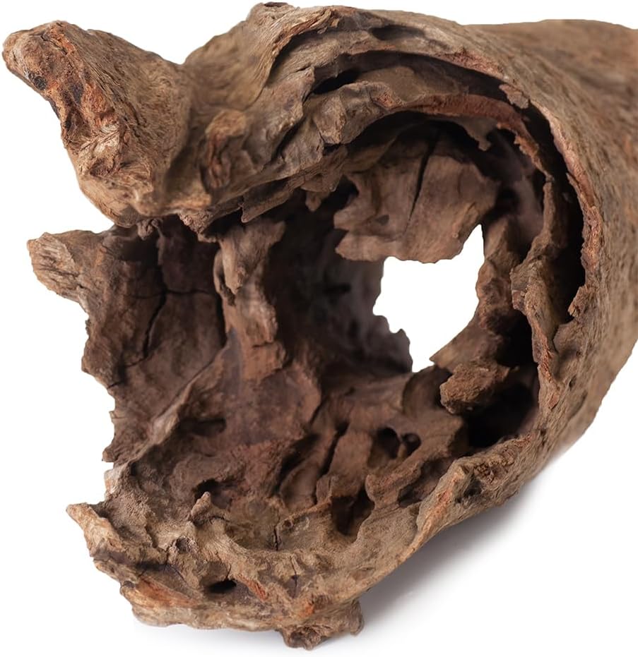 Galapagos (05550) Hollow Log Hide Terrarium & Aquarium Décor Fish Tank Hideout Eucalyptus Wood Medium 6” – 8”
