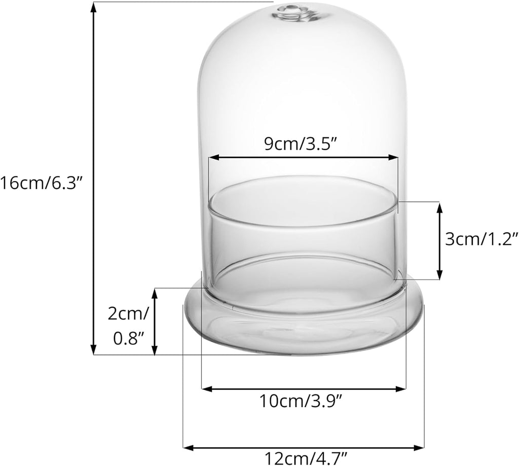 NCYP Small Clear Decorative Glass Terrarium Cloche with Air Hole - 4.7 x 4.7 x 6.3 Inches Glass Dome with Base for Miniature Succulents - Display Storage (No Plants Included)