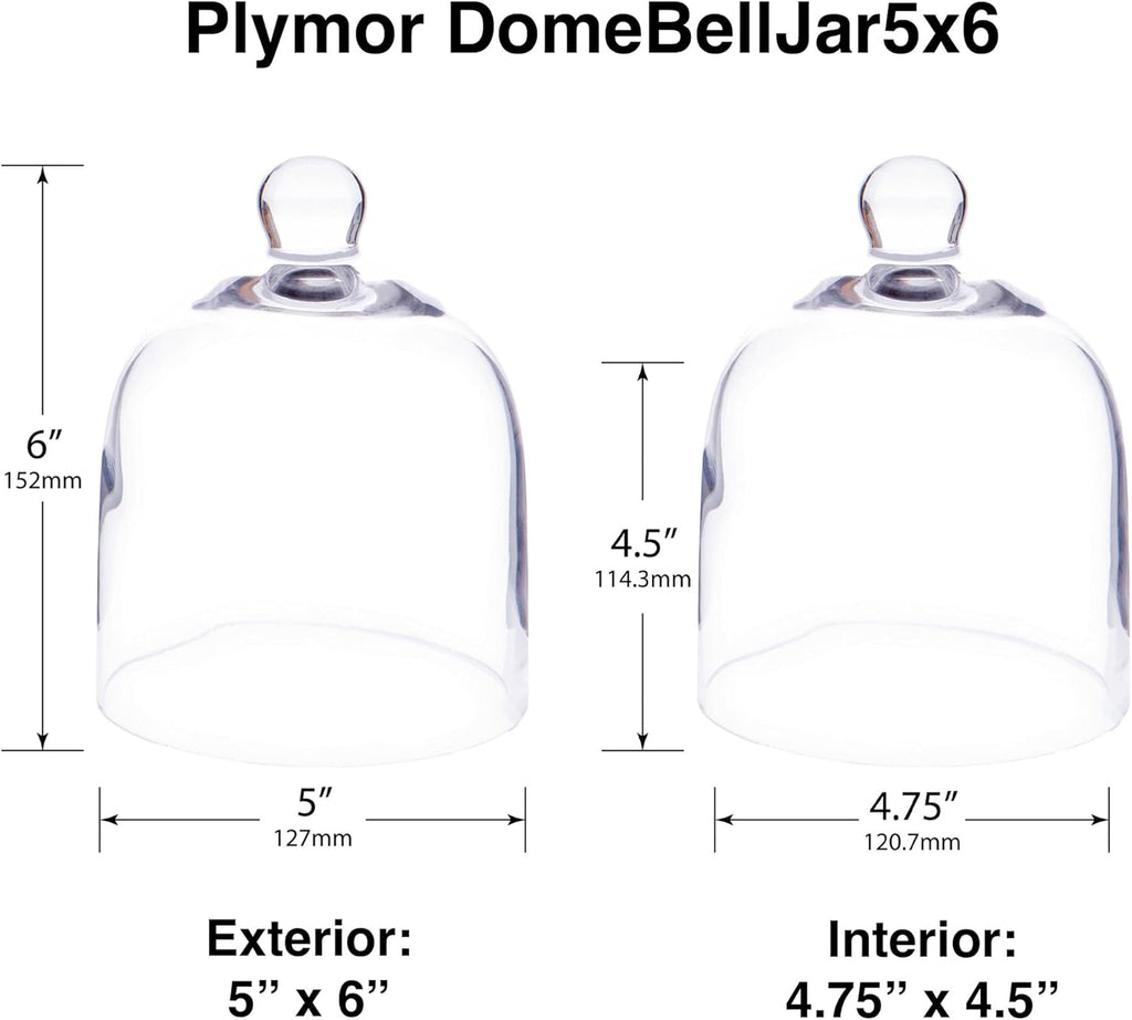 Plymor 5" x 6" Bell Jar Glass Display Dome Cloche (Interior Size 4.75" x 4.5")