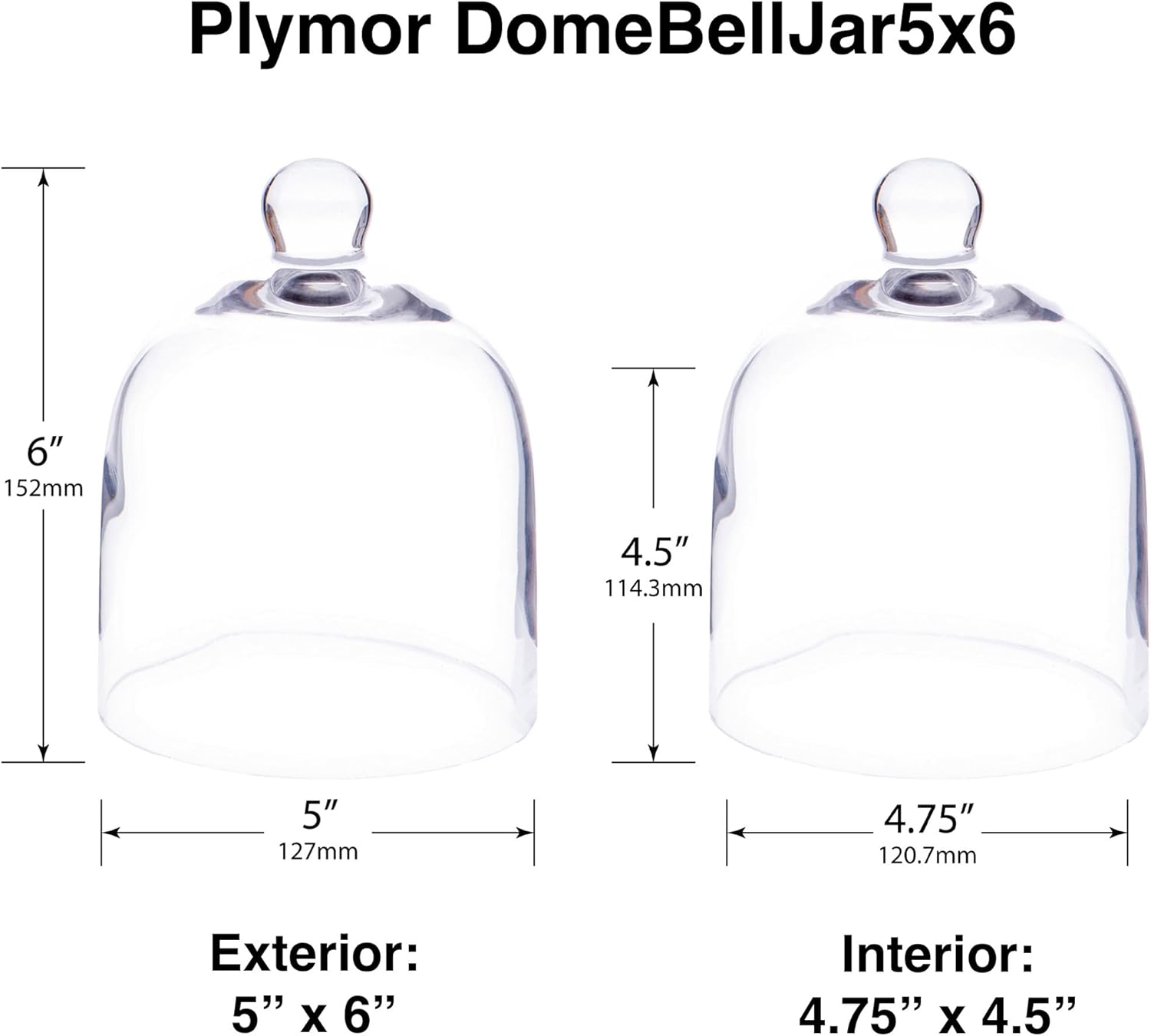 Plymor 5" x 6" Bell Jar Glass Display Dome Cloche (Interior Size 4.75" x 4.5")