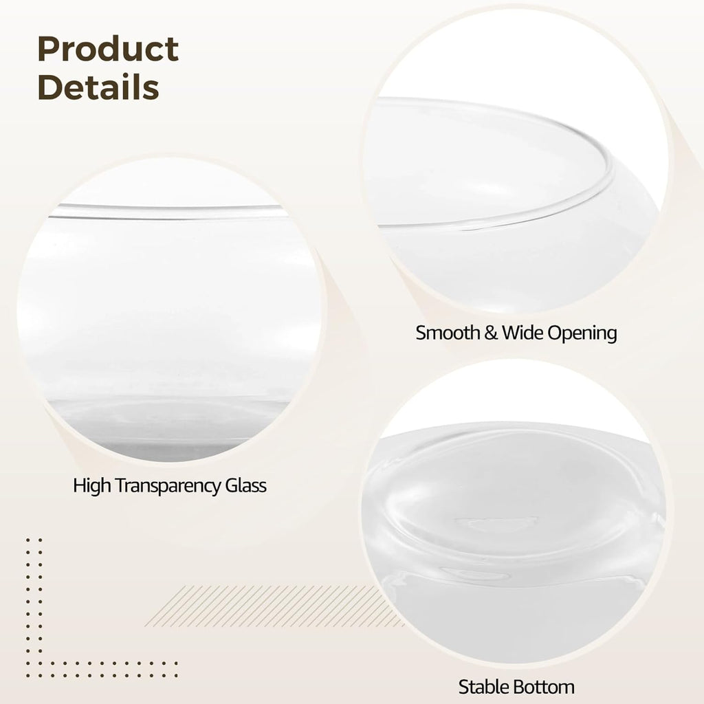 2 PCS Glass Bowl Vases, Wide Mouth Round Glass Terrarium, Hydroponic Planter, Clear Floral Container