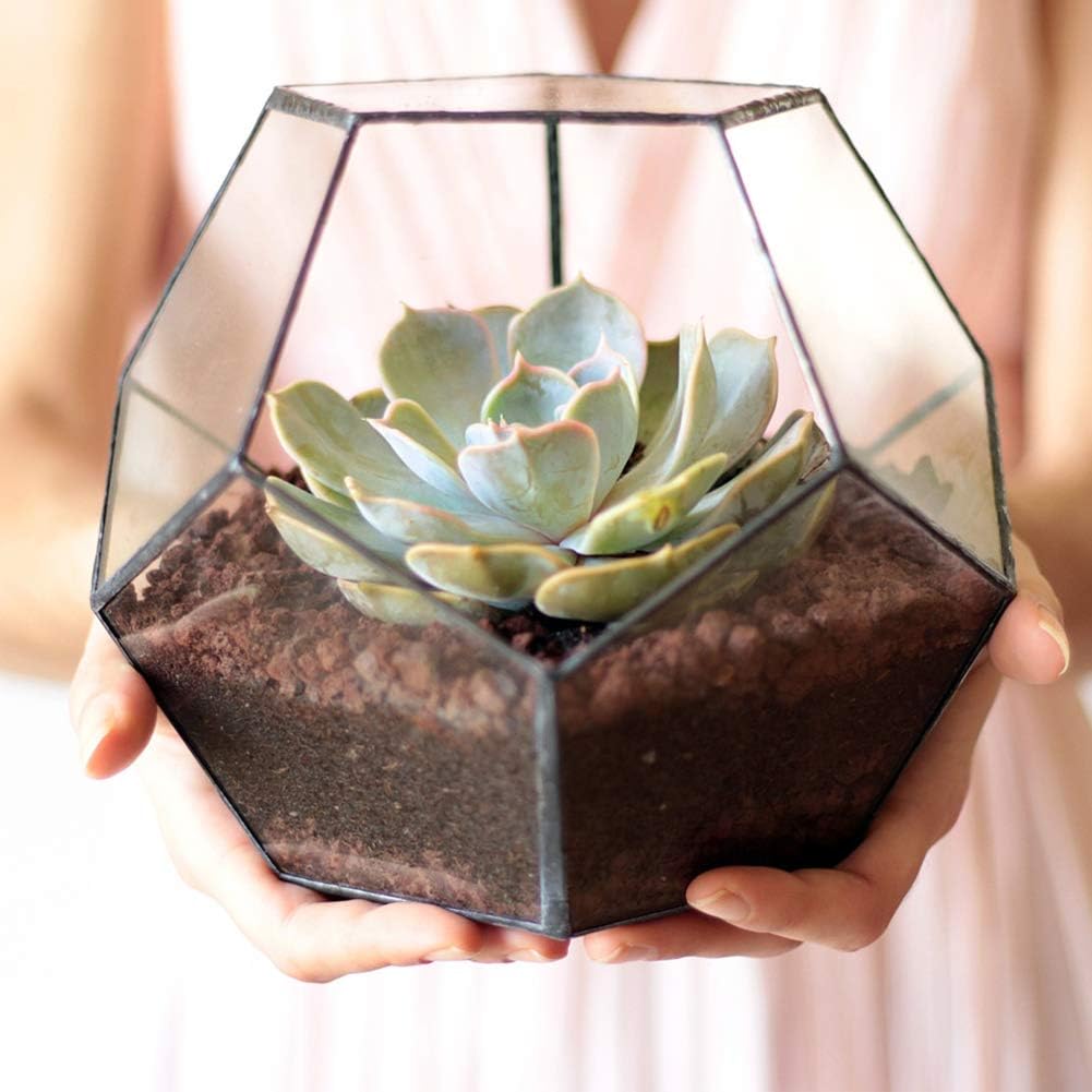 Black Geometric Glass Terrarium Planter Pentagon Flower Pot Glass Terrarium Container for Succulents Fern Air Plants Mini Tabletop Decor Centerpiece