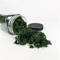 Tree Powder for DIY Model Trees Basing Material Plant Tufted Terrain Model for DIY Miniature Model Shrub Bushy Tuft, Building Model Railway Fairy Garden Diorama Scenery（Dark Green）