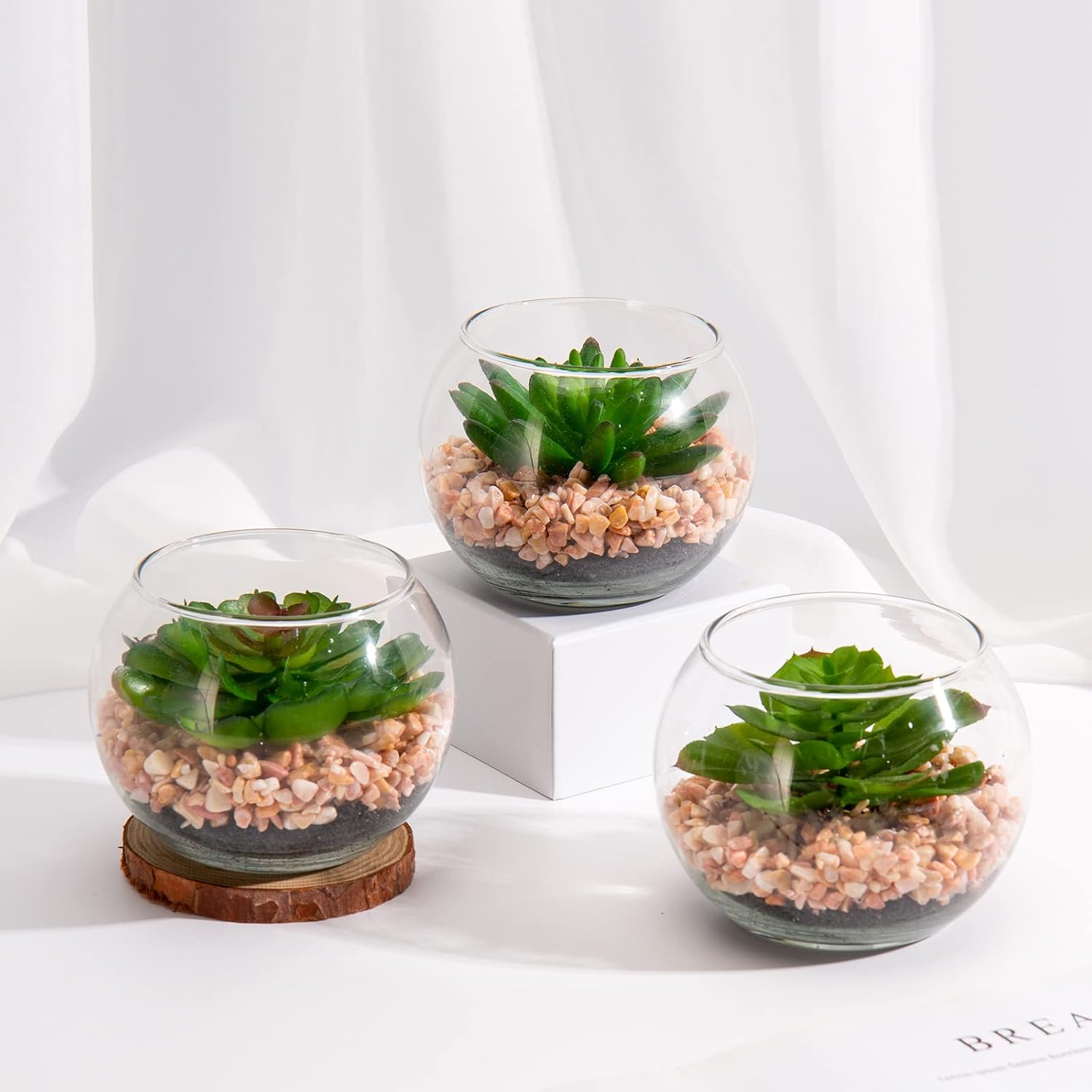 Briful Mini Fake Plants 3 Packs Artificial Succulents Plants in Round Glass Vase Cute Faux Succulents for Bathroom Kitchens Shelf Table Decor