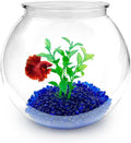 Newpol Mini Plastic Aquarium Starter Kits, Fish Tank (0.8Gallon/ 3L)