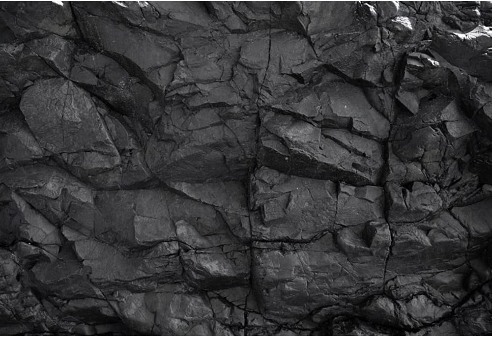 Yeele 15x8ft Black Stone Photo Backdrop Natural Black Rock Wall Aquarium Background for Vintage Stone Brick Fish Tank Decoration Backdrop for Travel Vacation Adults Portrait Studio Photo Shoot Props