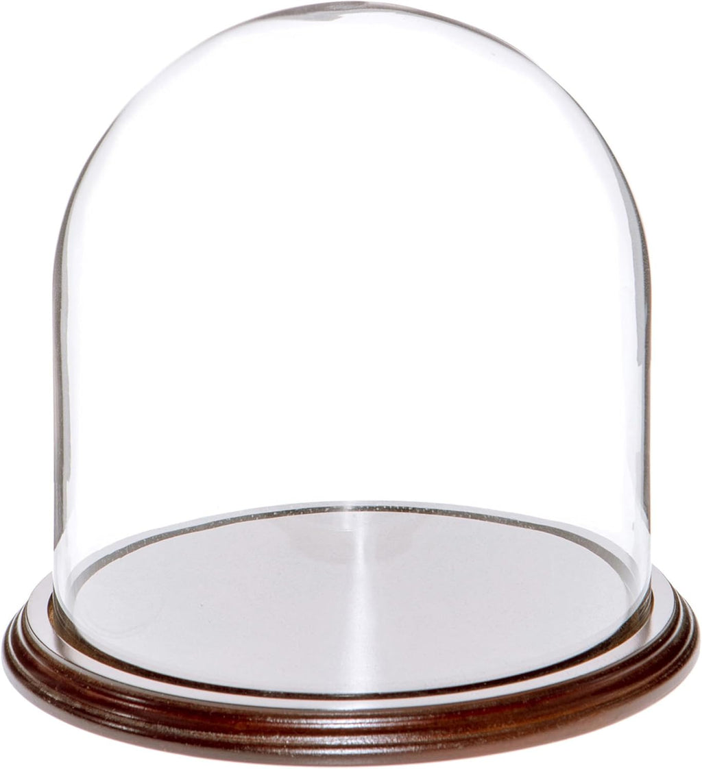 Plymor 8" x 8" Glass Display Dome Cloche (Dark Mahogany Veneer Base)