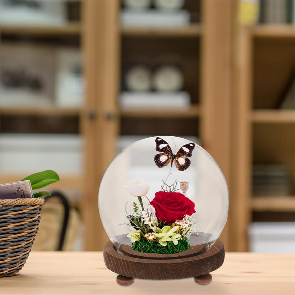 Clear Glass Cloche Dome Bell Jar with Wood Base 10cm DIY Snow Globe Kit Craft Keepsake Display Case Terrarium for Preserved Flower Plant Succulent