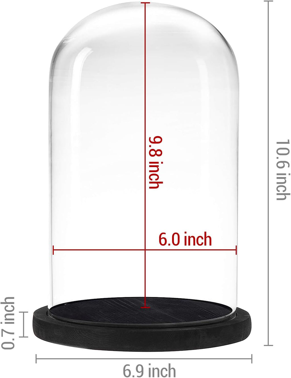 MyGift The Bell Jar Glass Cloche with Black Wood Base, 10 Inch Tall Clear Decorative Glass Dome Display for Plants, Curios, Keepsakes, Heirlooms