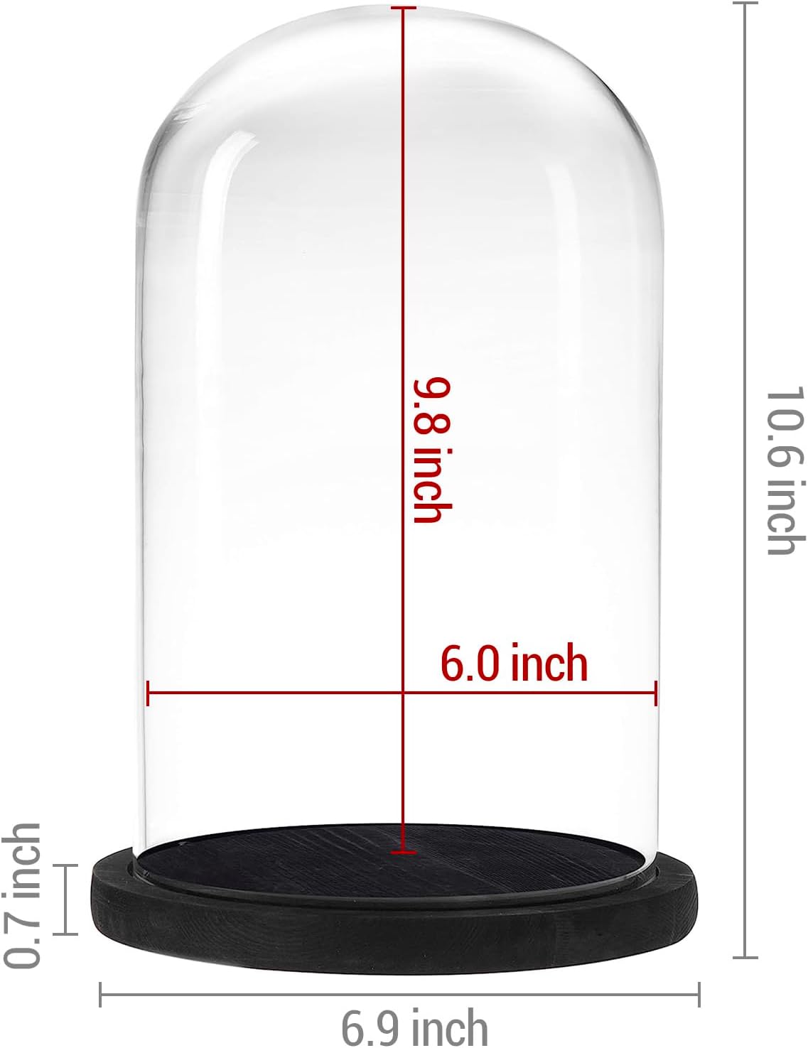MyGift The Bell Jar Glass Cloche with Black Wood Base, 10 Inch Tall Clear Decorative Glass Dome Display for Plants, Curios, Keepsakes, Heirlooms