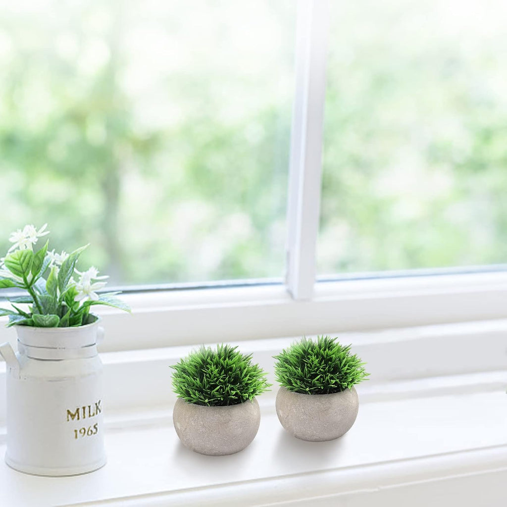 THE BLOOM TIMES 2 Pcs Small Fake Plants for Home Decor Indoor, Artificial Faux Potted Greenery for House Office Decorations