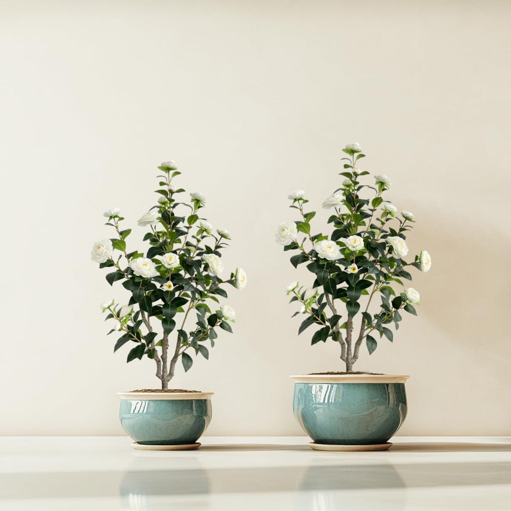 Artificial Camellia Tree 3.4ft Fake Trees pseudophyte (2, White)