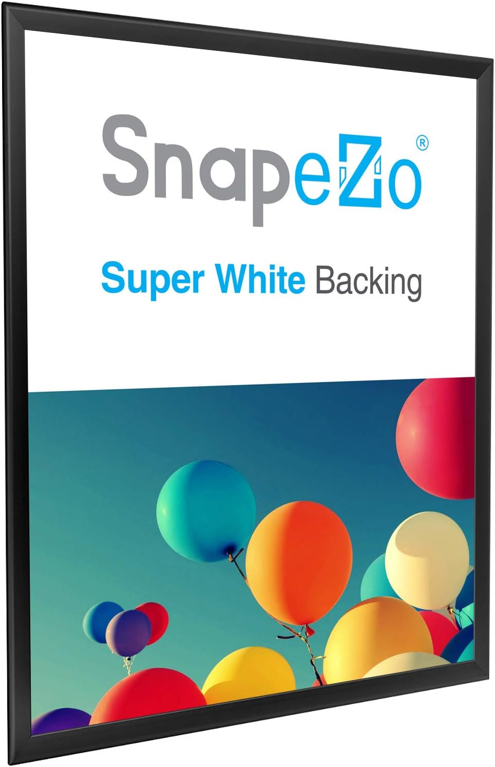 SnapeZo Black 24x37 Snap Frame Professional Series