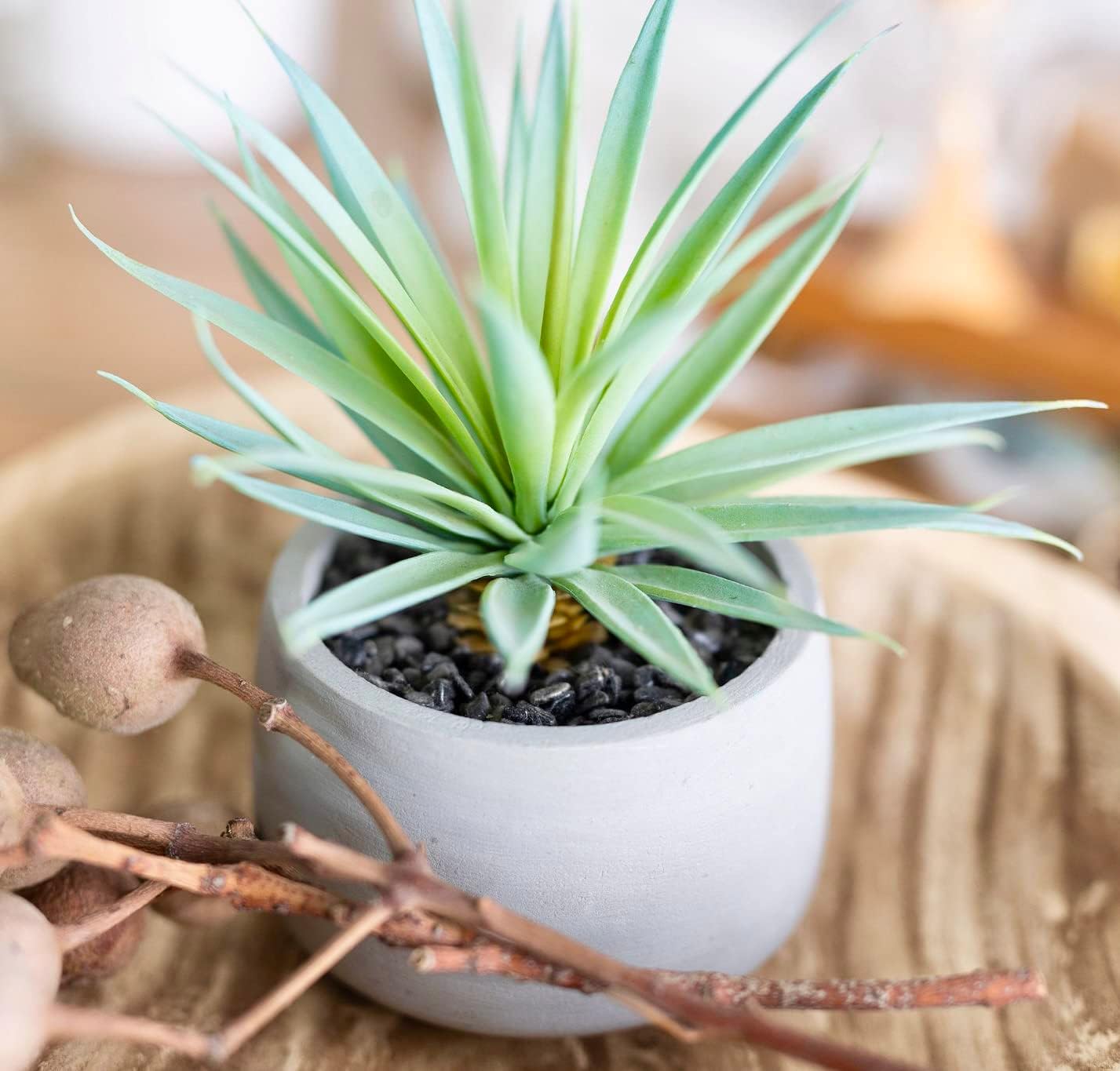 Kurrajong Farmhouse Artificial Plant | 7" high Fake Plant | Artificial Succulent in Pot | Fake Succulent | Faux Plant Indoor | Faux Greenery Desk Decor