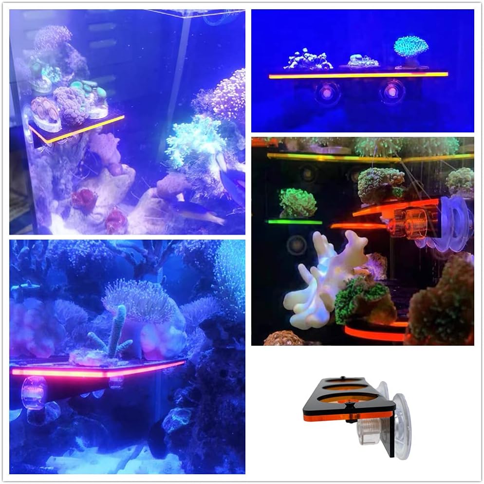 kcrygogo Coral Frag Holder Acrylic Coral Rack with Powerful Double Suction Cup and Placstic Screws Suitable for Household Fish Tanks (2pcs 3 Plug Hole,Fluorescent Green and Orange)
