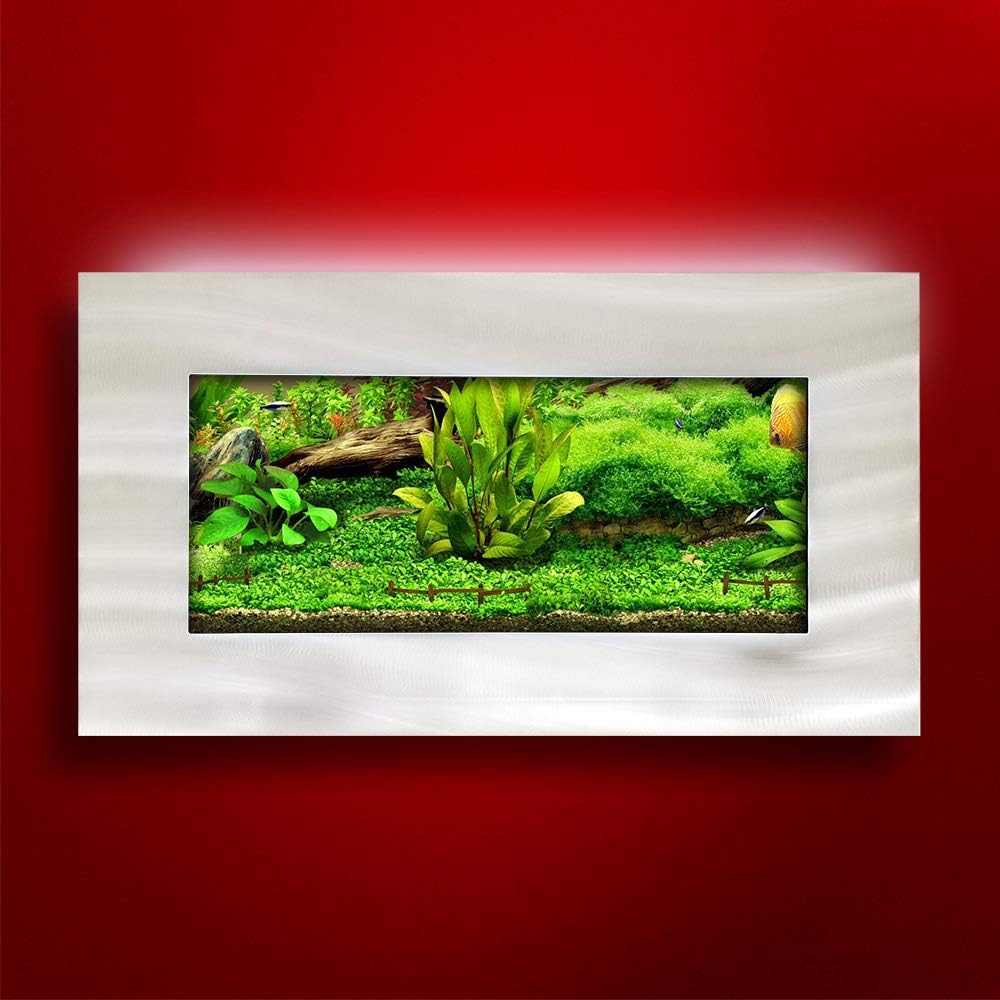 Aussie Aquariums AA-MINIVIEW-BSILVER 2.0 Wall Mounted Aquarium, Brushed Silver