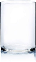 WGV Cylinder Vase, Width 9", Height 12", Clear Wide Large Diameter Flower Glassware, Floral Container, Planter Terrarium for Wedding Party Event, Home Accent Decor, 1 Piece