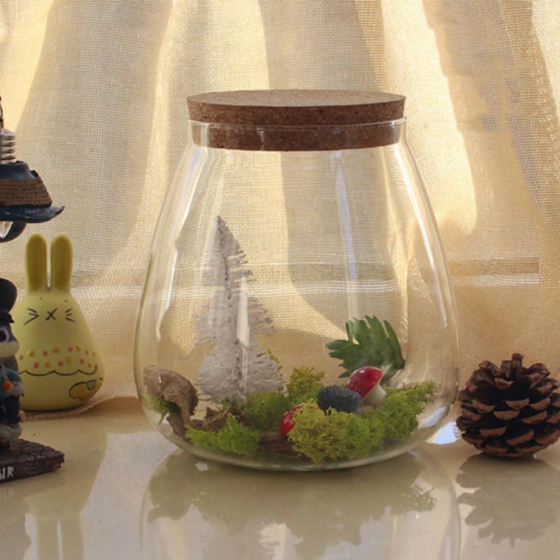 HOMSFOU Round Glass Jar Plant Terrarium Tabletop Succulent Planter balls Buds Vase Wish Bottle Candy Cookie Jar Canister with Cork Lid for Fern Air Plant