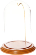 Plymor 4" x 7" Watch/Ornament Glass Display Dome