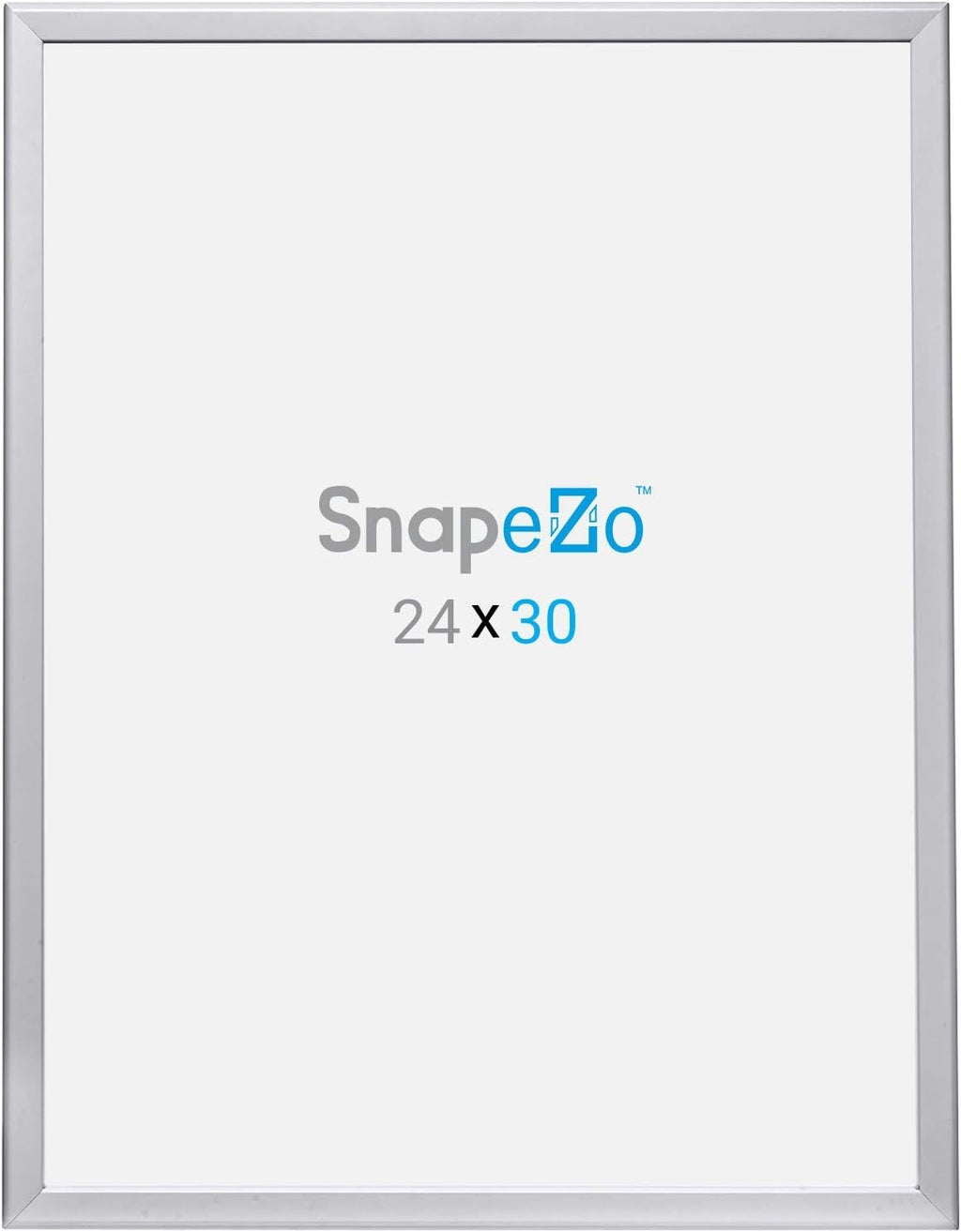 SnapeZo Poster Frame 24x30, Silver, 1.25 Inch Aluminum Profile, Front-Loading Snap Frame, Wall Mounting, Professional Series