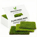 Live Moss Mat Terrarium Pack (3-Species Variety Pack) | Each Mat is 3.5"x7" | Three Different Living Moss Sheets for Terrariums, Vivariums & Bonsai