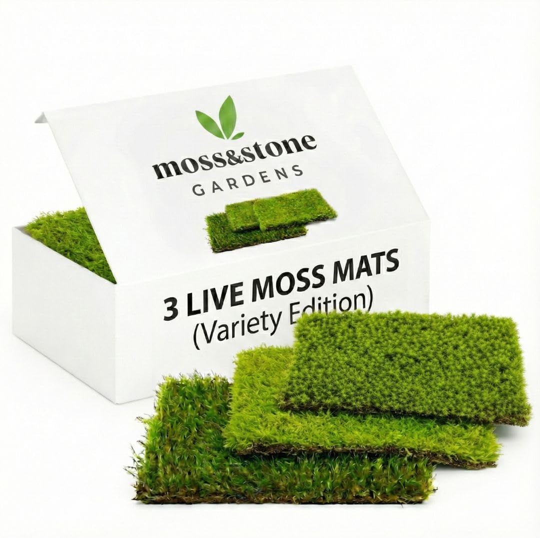 Live Moss Mat Terrarium Pack (3-Species Variety Pack) | Each Mat is 3.5"x7" | Three Different Living Moss Sheets for Terrariums, Vivariums & Bonsai