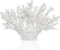 Coral Coastal Decor,13.5'' Width x 10'' High Artificial Resin Coral Reef Statue for Ocean Coastal Beach Nautical Themed Room Bathroom Decor for Home,1008W,White