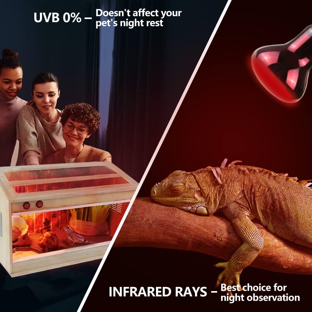 LUCKY HERP Infrared Heat Lamp 75W 2 Pack，Reptile & Amphibian Basking Spot Light Bulbs, Red Heat Lamp Bulbs for Reptiles, Bearded Dragon, Turtle, Lizard, Snake, Chicken
