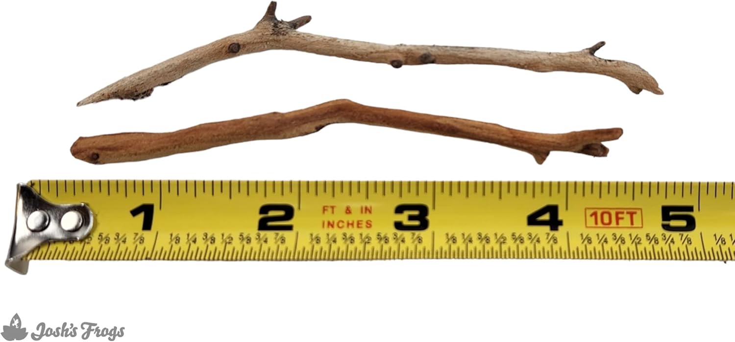 Josh's Frogs Manzanita Wood (Twig)
