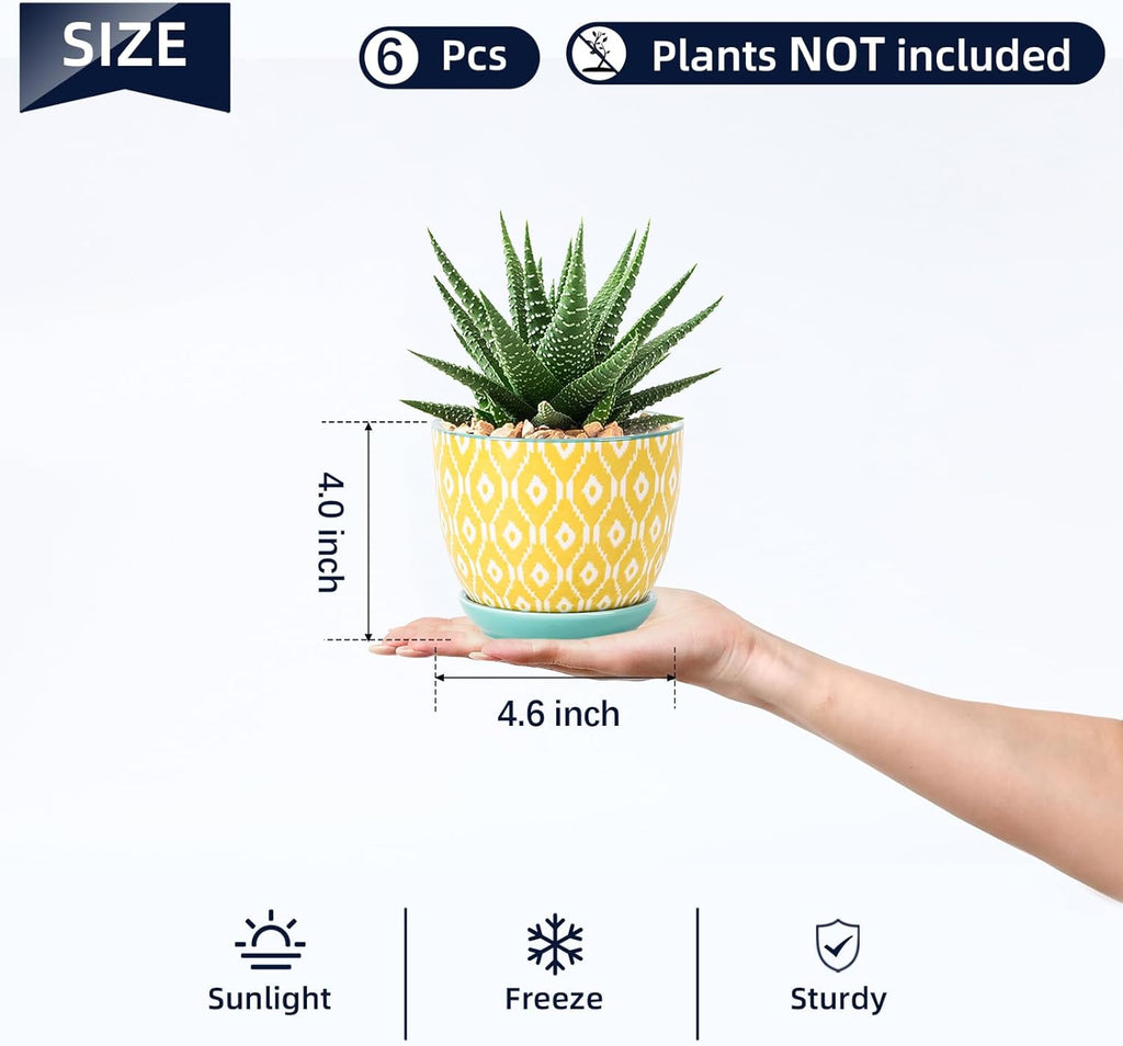 Selamica Ceramic Succulent Pots, 4.6 Inch Small Plant Pots with Drainage Holes & Saucers, Succulent Planters for Indoor Plants Cactus, Home Decor, Set of 6, Assorted Colors