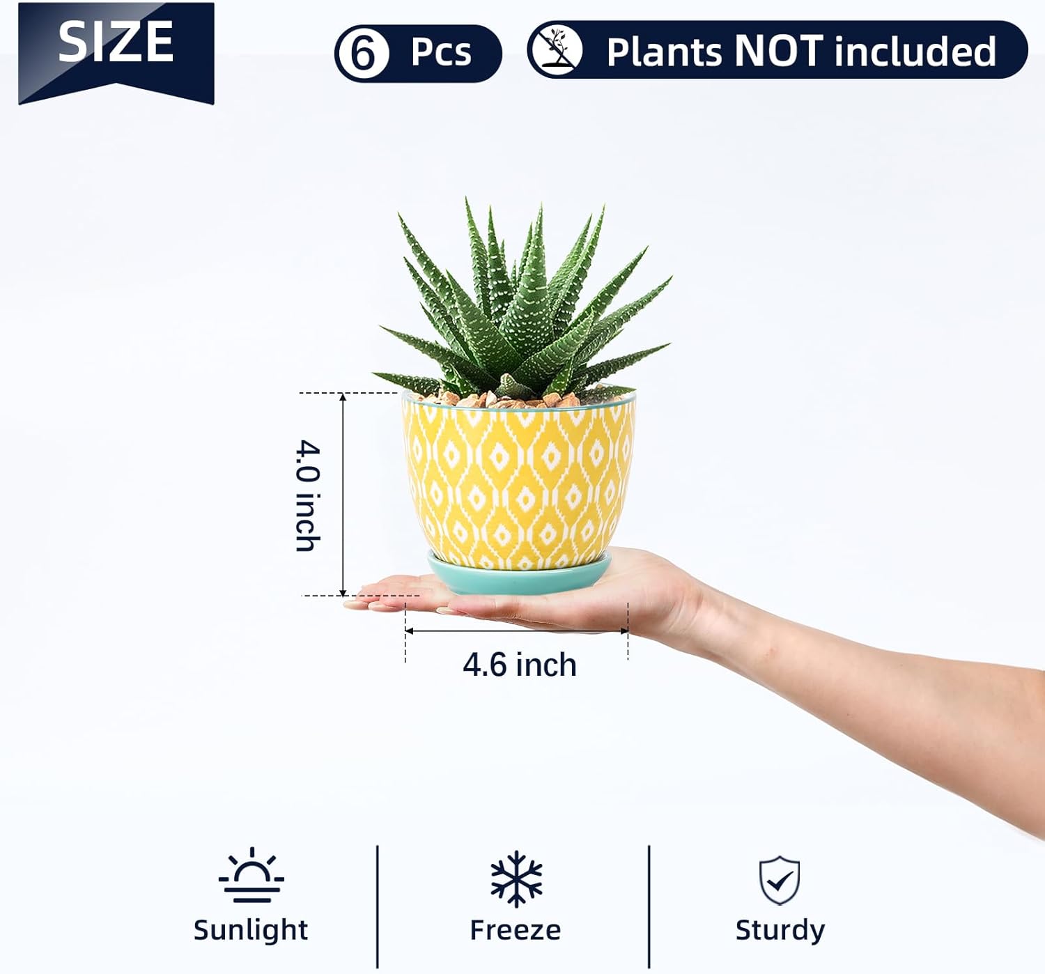 Selamica Ceramic Succulent Pots, 4.6 Inch Small Plant Pots with Drainage Holes & Saucers, Succulent Planters for Indoor Plants Cactus, Home Decor, Set of 6, Assorted Colors