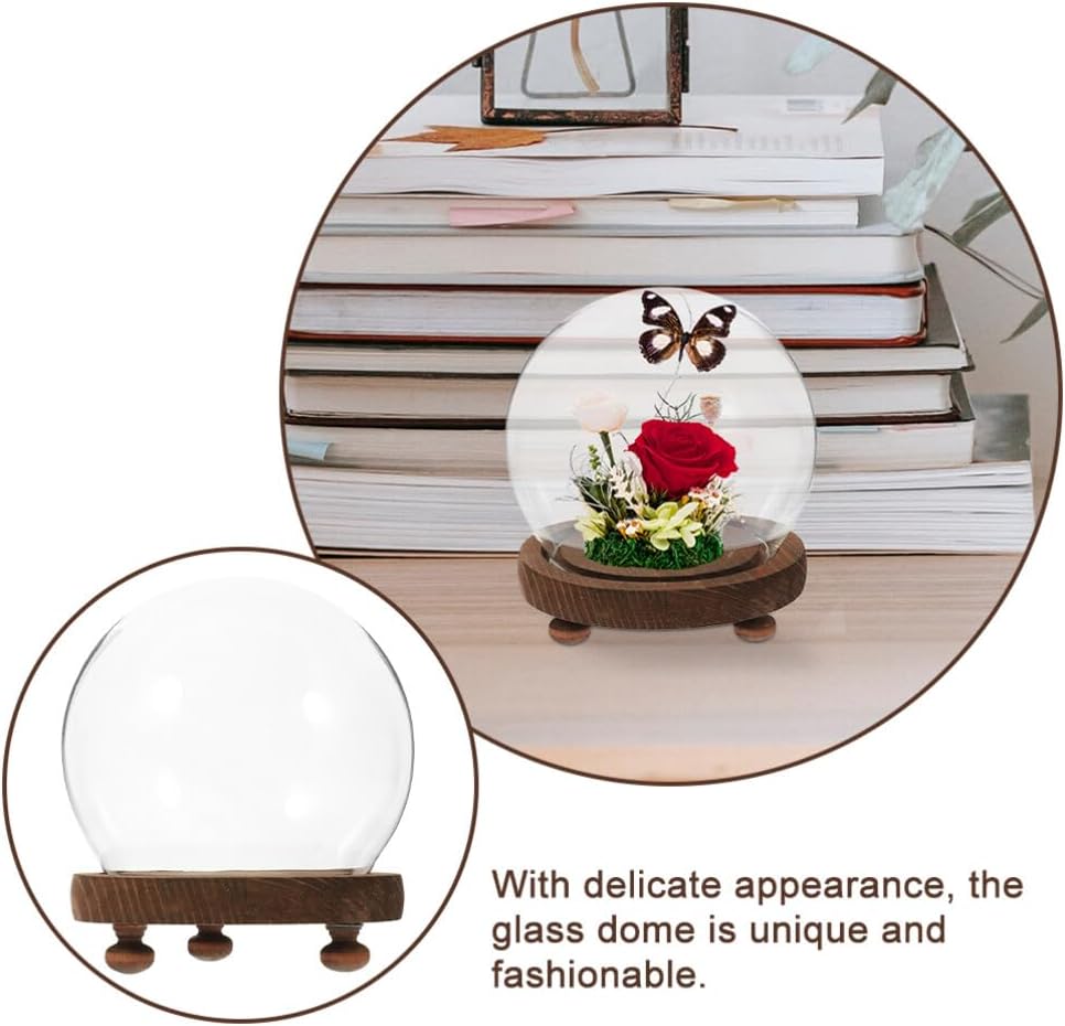 Clear Glass Cloche Dome Bell Jar with Wood Base 10cm DIY Snow Globe Kit Craft Keepsake Display Case Terrarium for Preserved Flower Plant Succulent