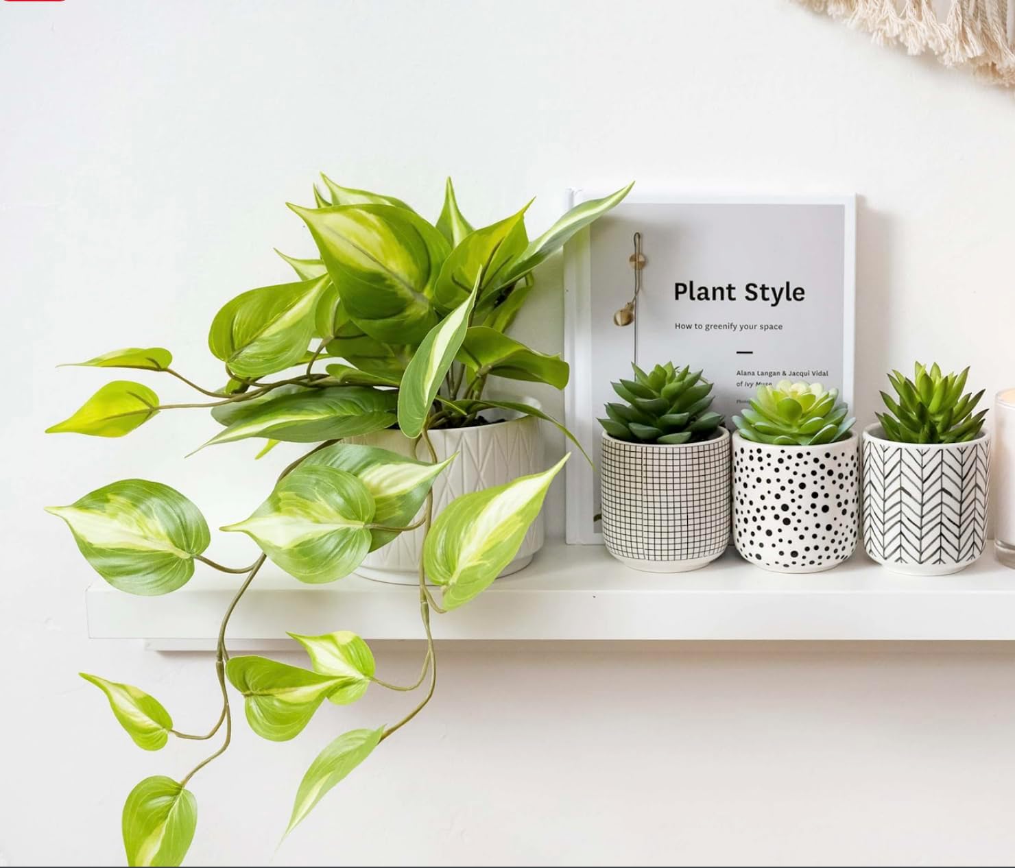 Kurrajong Farmhouse Light Green Fake pothos Plant | Fake Plant for Shelf Decor | Artificial Trailing Ivy Plant with 5" Wide x 3.5" high Ceramic Pot | Faux pothos | Feaux Pothos