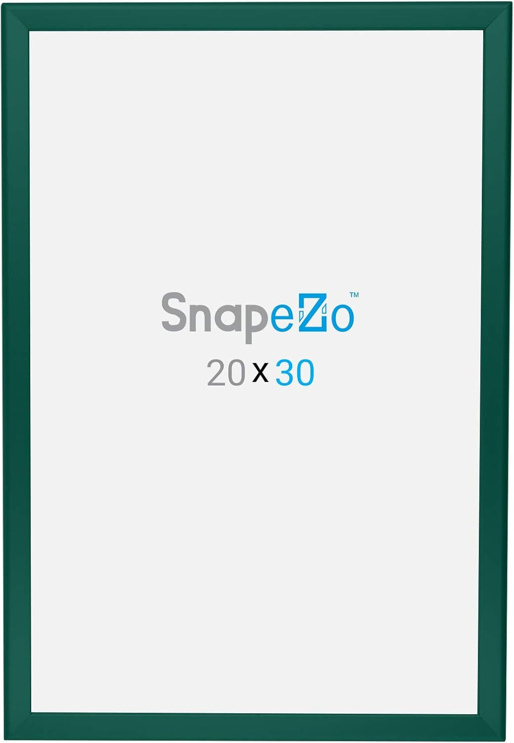 SnapeZo Poster Frame 20x30, Green, 1.25 Inch Aluminum Profile, Front-Loading Snap Frame, Wall Mounting, Professional Series